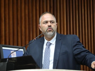 Atividade Parlamentar